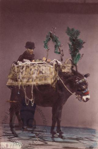 Neapolitan man with donkey