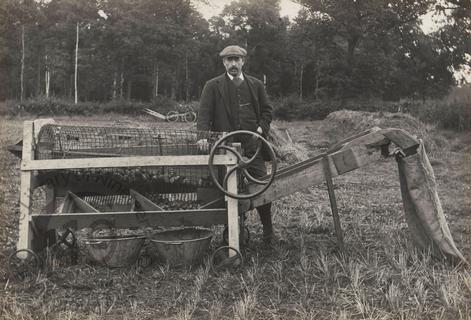 Potato sorting machine