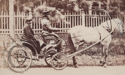 A horse-drawn open carriage