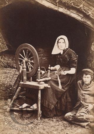 Spinning wool