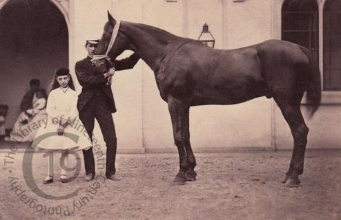 Two children with a horse