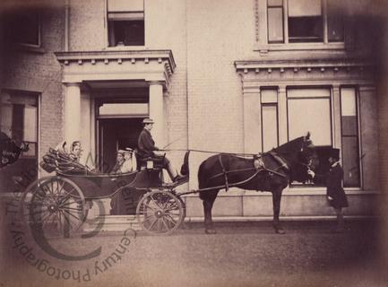 Horse and carriage