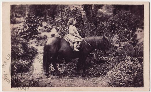 Small boy on a pony