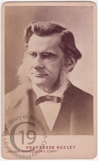 Thomas Huxley