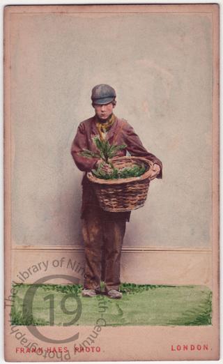 Chickweed seller